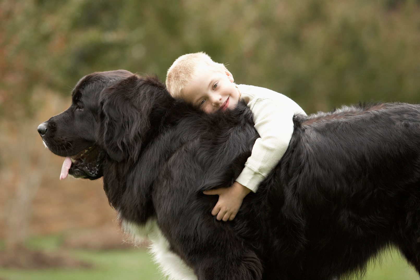 Most Affectionate Dog Breeds That Love to Cuddle | Reader's Digest