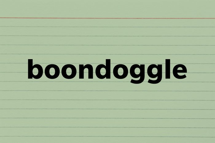 Boondoggle