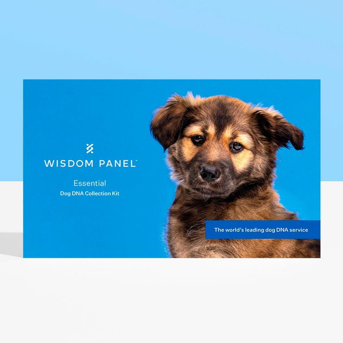 Wisdom DNA Panel for Dogs