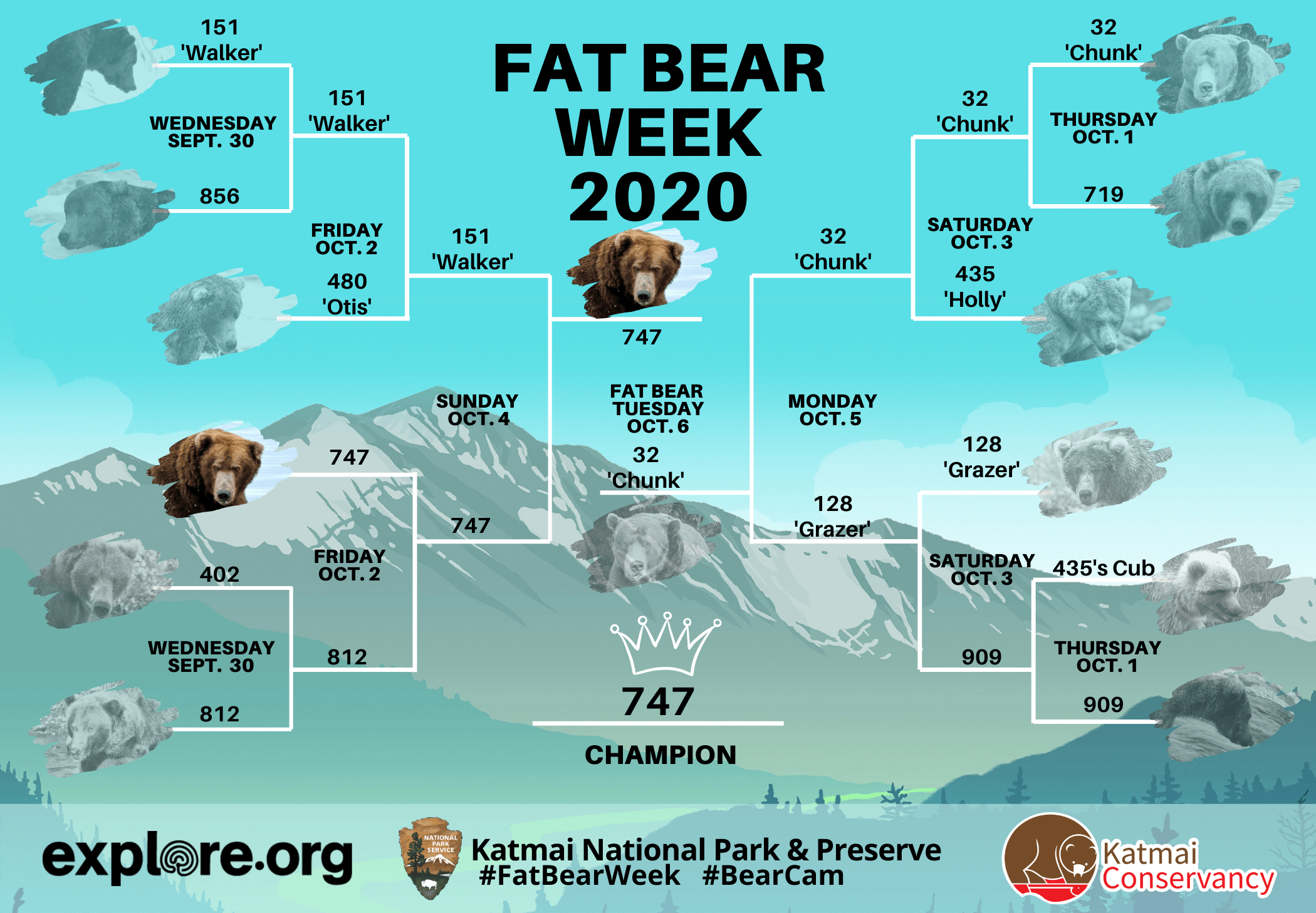 fat bear week