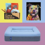 The 66 Best Gifts for Dog Lovers That Will Raise the Woof
