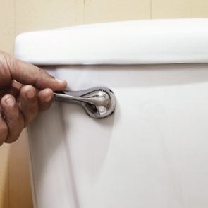 Close-Up Of Hand Holding Flush In Toilet