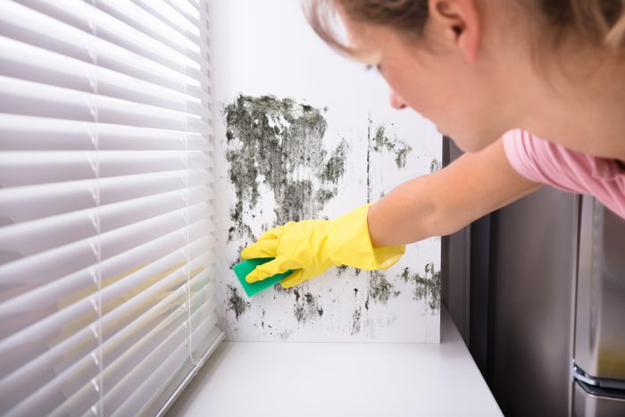 Mildew How To Get Rid Of It Once And For All Reader S Digest - What To Use Clean Mold On Bathroom Walls Before Painting
