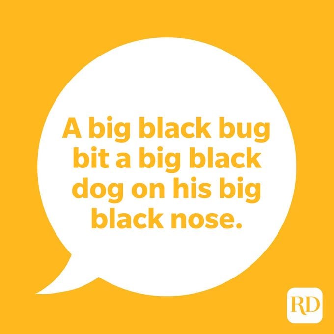 Rd A Big Black Bug Bit A Big Black Dog On His Big Black Nose