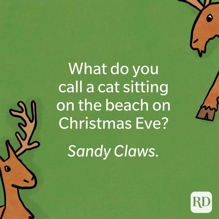 What do you call a cat sitting on the beach on Christmas Eve?