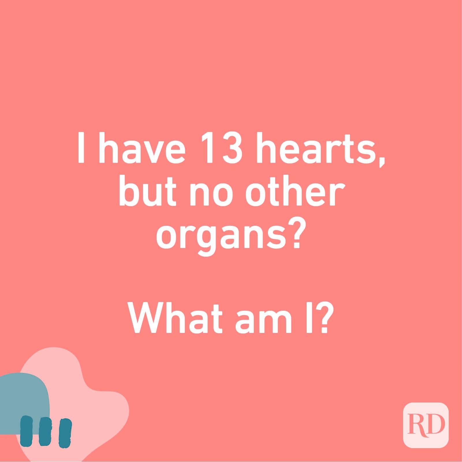 I have 13 hearts, but no other organs? What am I?