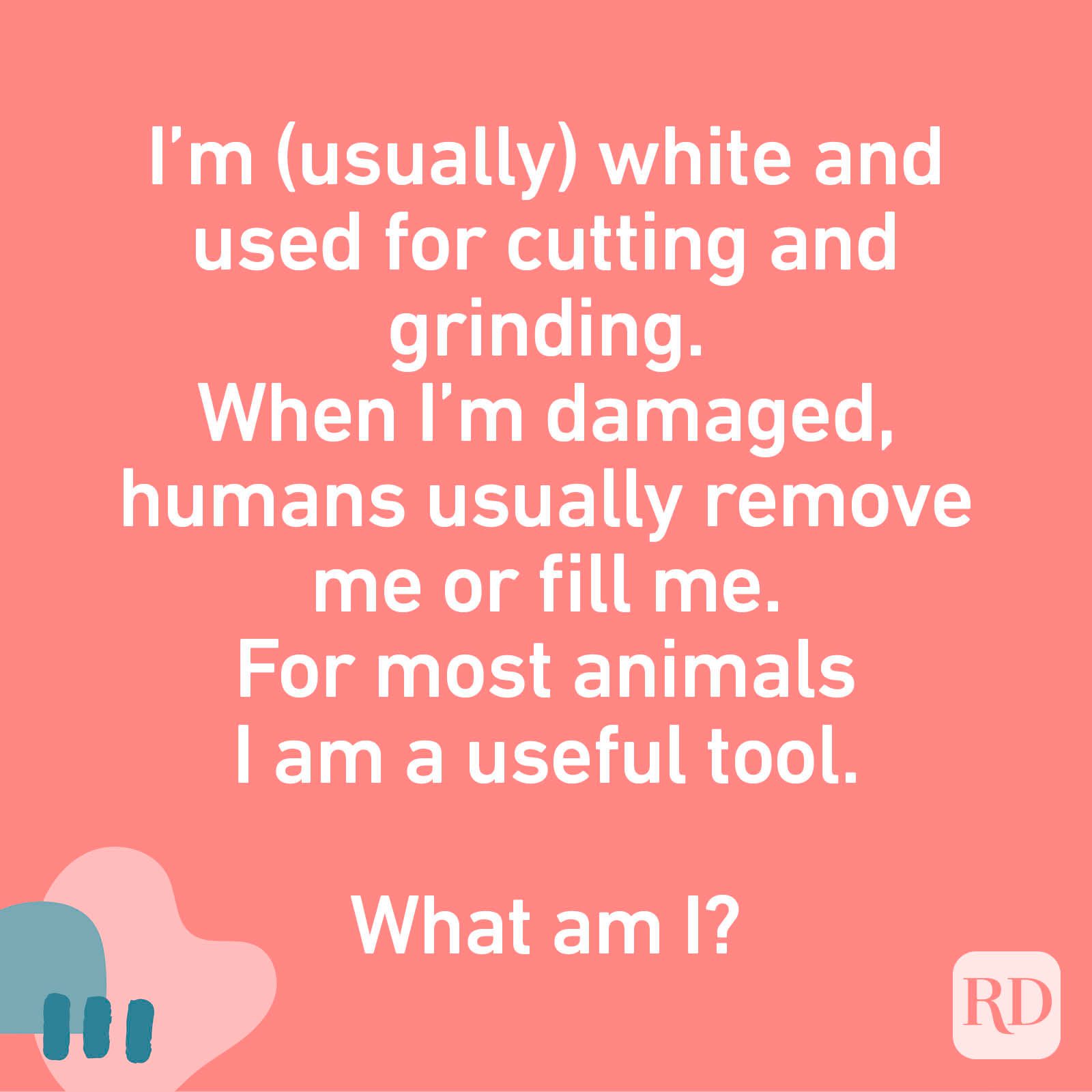 I’m (usually) white and used for cutting and grinding. When I’m damaged, humans usually remove me or fill me. For most animals I am a useful tool. What am I?