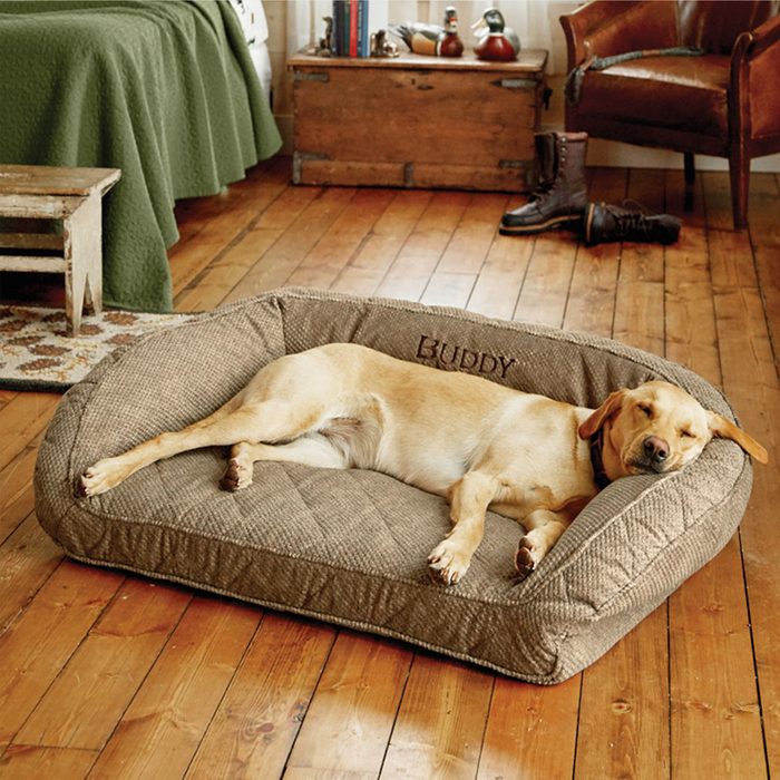 Dog Bed Via Orvis