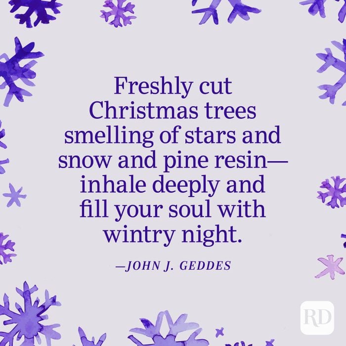 "Freshly cut Christmas trees smelling of stars and snow and pine resin—inhale deeply and fill your soul with wintry night." —John J. Geddes