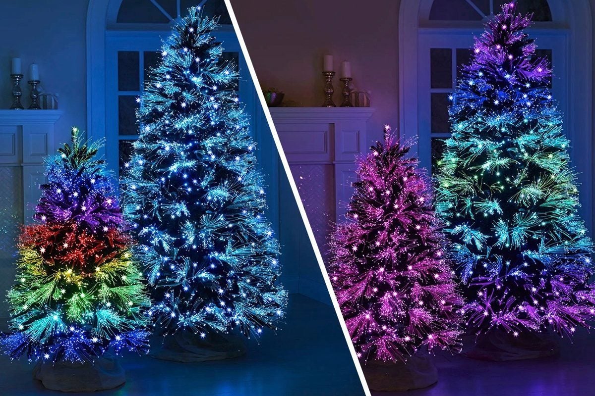 This Gorgeous Christmas Tree Puts on a Light Show | Reader's Digest