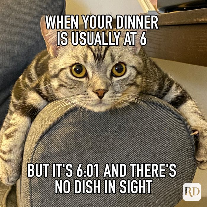 When Your Dinner Is Usually At 6 But Its 601 And Theres Nodish In Sight Meme