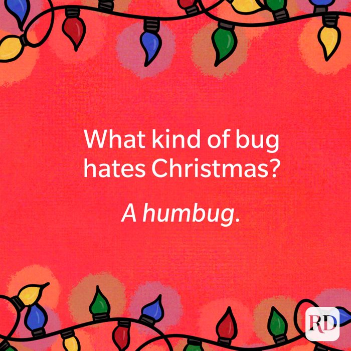 What kind of bug hates Christmas?