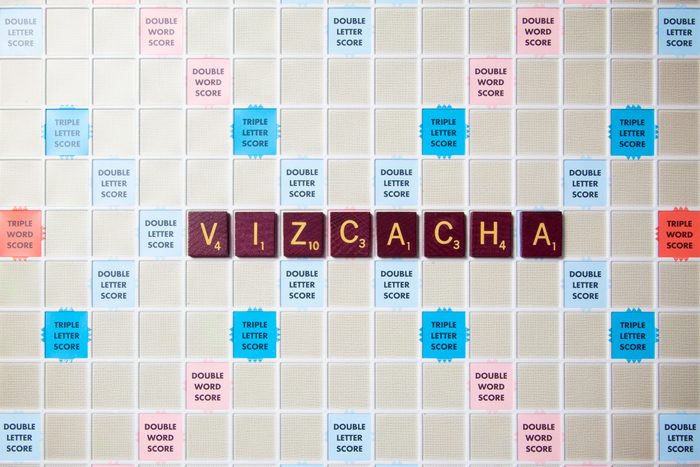 scrabble board with tiles that spell out vizcacha