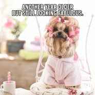 30 of the Funniest Happy Birthday Memes | Reader's Digest