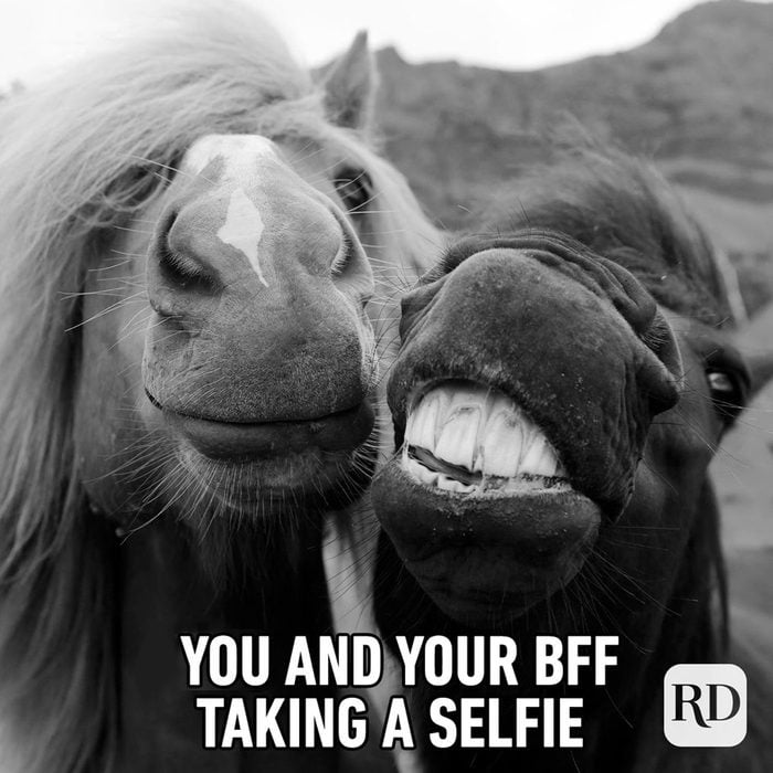 Two horses smiling for camera. Meme text: You and your BFF taking a selfie