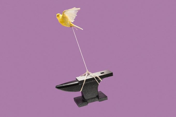 small yellow canary flying away carrying a heavy anvil attached to a string