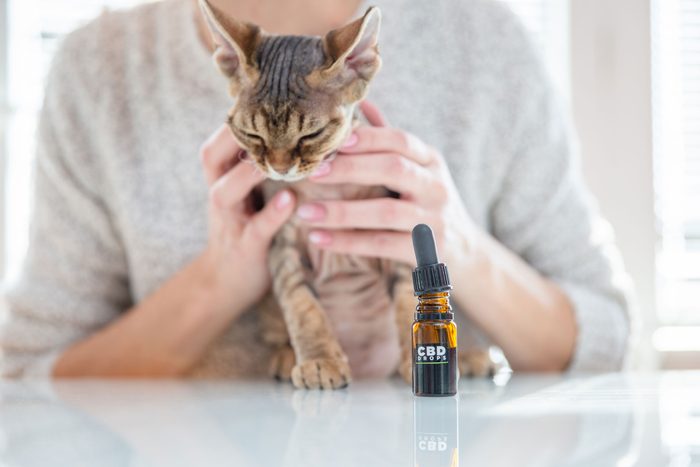 small glass bottle with dropper marked "CBD Drops" in foreground with an anonymous pet owner holding a cat in the background