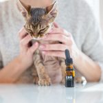CBD Oil for Cats: What Is It and Is It Safe?