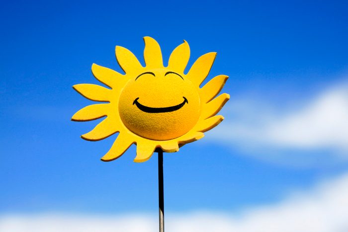 Sunflower smiley face