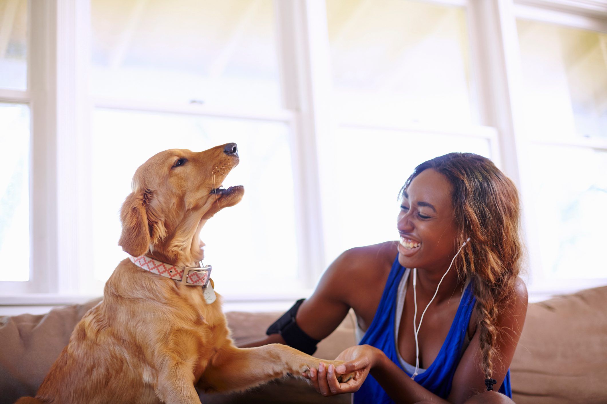 Young woman taking a training break, petting dog in sitting room