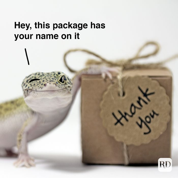 Lizard winking while holding a small present. Meme text: Hey, This Package Has Your Name On It