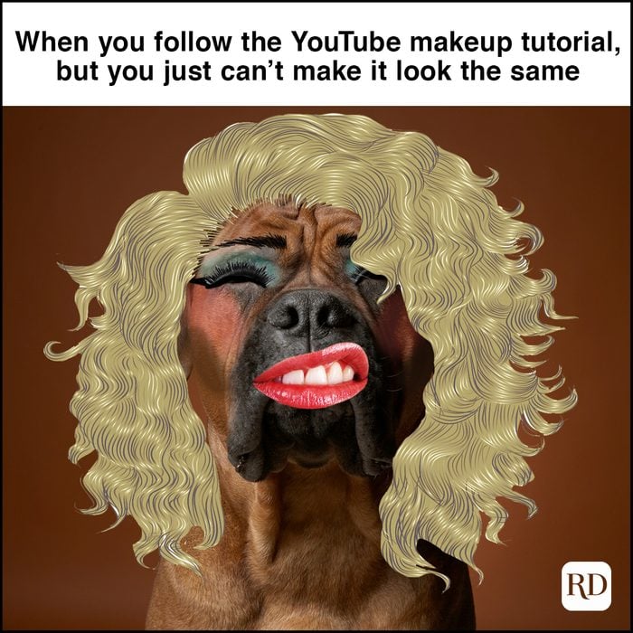 dog with wig and bad makeup animal meme