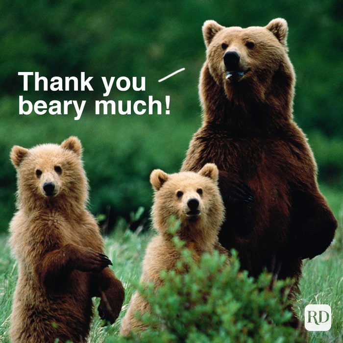 Mother bear and two baby bears standing in the wilderness. Meme text: Thank You Beary Much