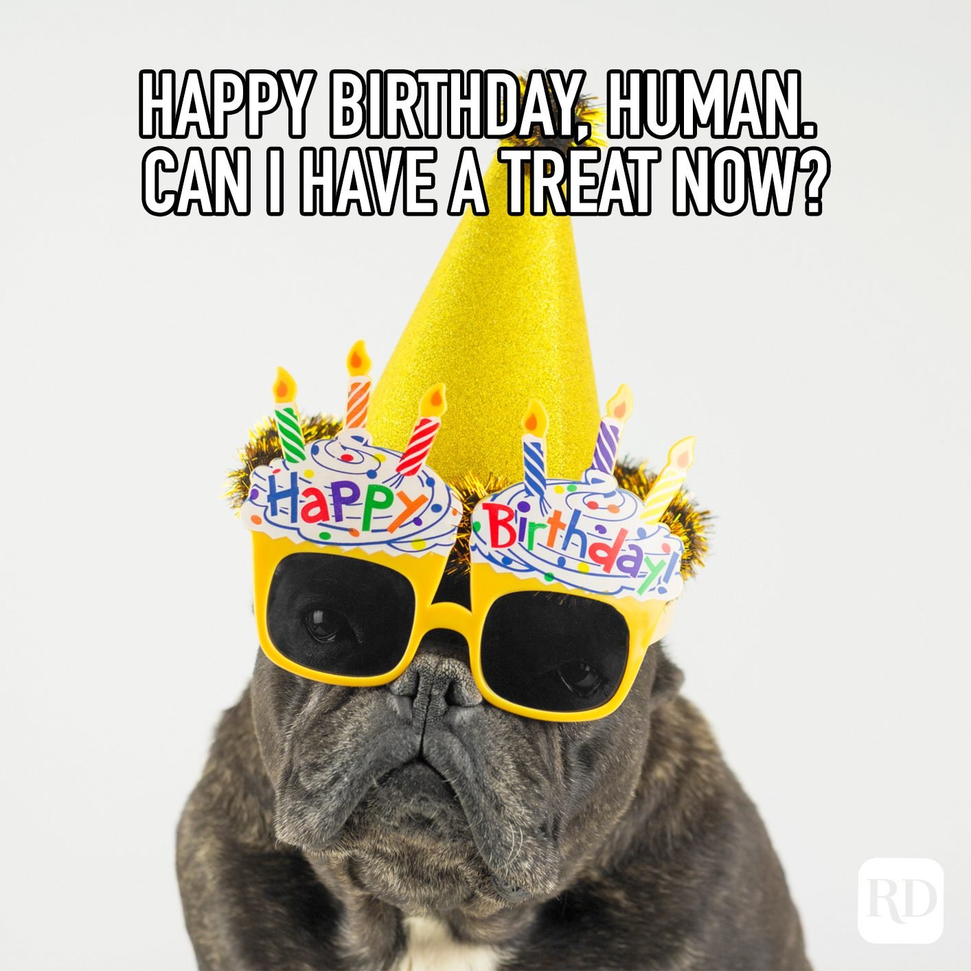 Coronavirus Birthday Memes That'll Make Your Celebration Better