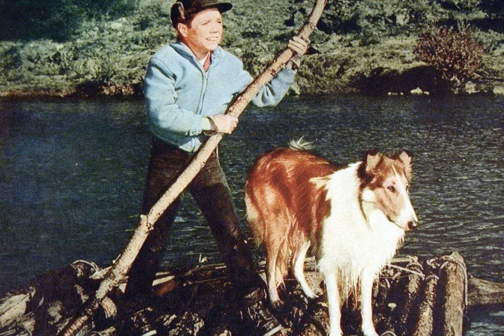 Lassies Groesstes Abenteuer, 1960Er, 1960S, Collie, Film, Hund, Lassie, Lassie'S Great Adventure, Boy And Dog, Dog