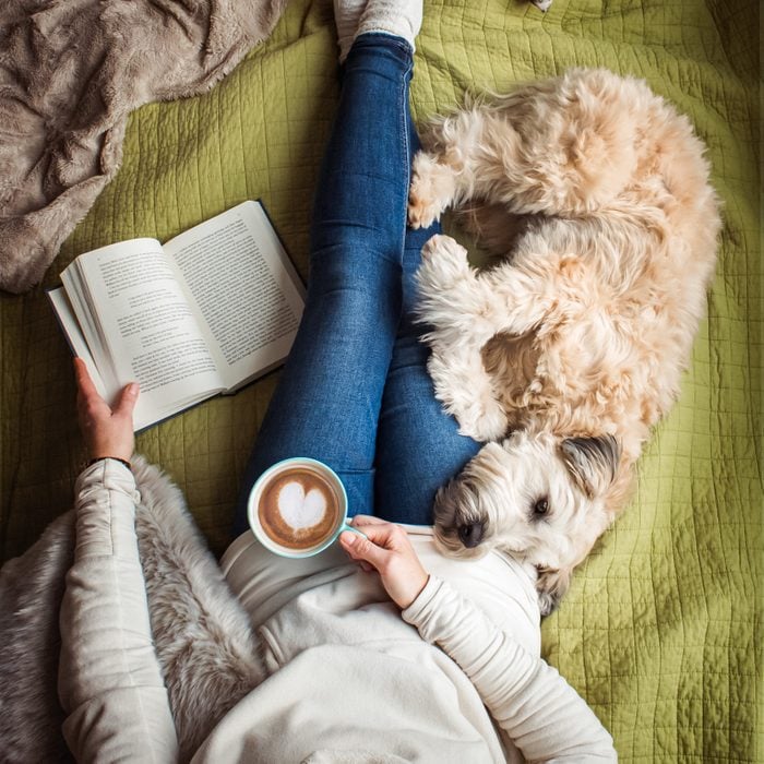 Overhead view of woman's torso on a bed with a book, coffee and a dog.