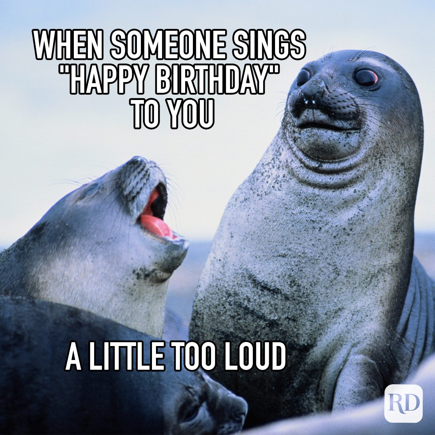 When Someone Sings Happy Birthday To You A Little Too Loud Meme