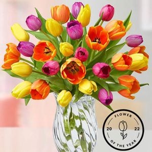 1 800flowers.com Assorted Tulip Bouquet