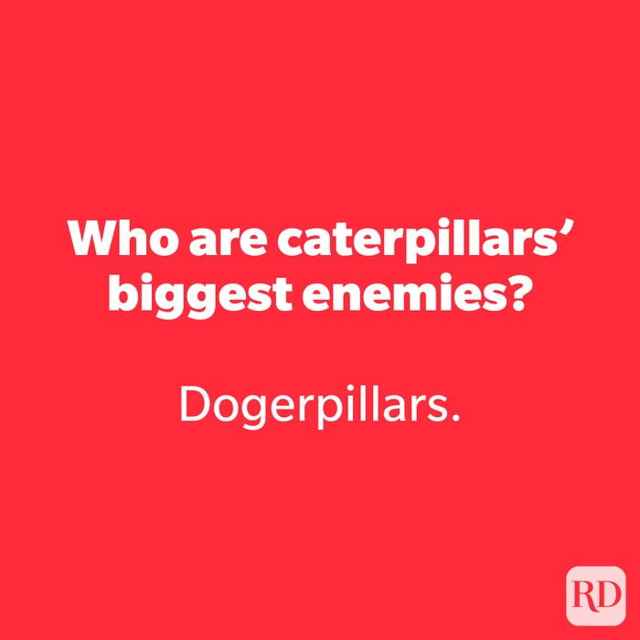 Who are caterpillars' biggest enemies?