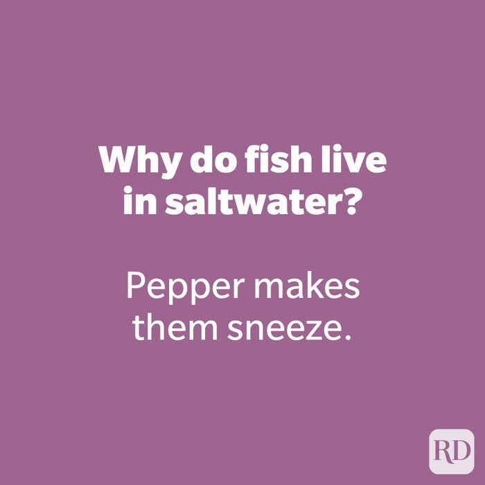 Why do fish live in saltwater?