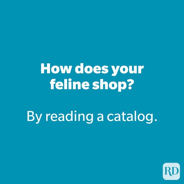 How does your feline shop?