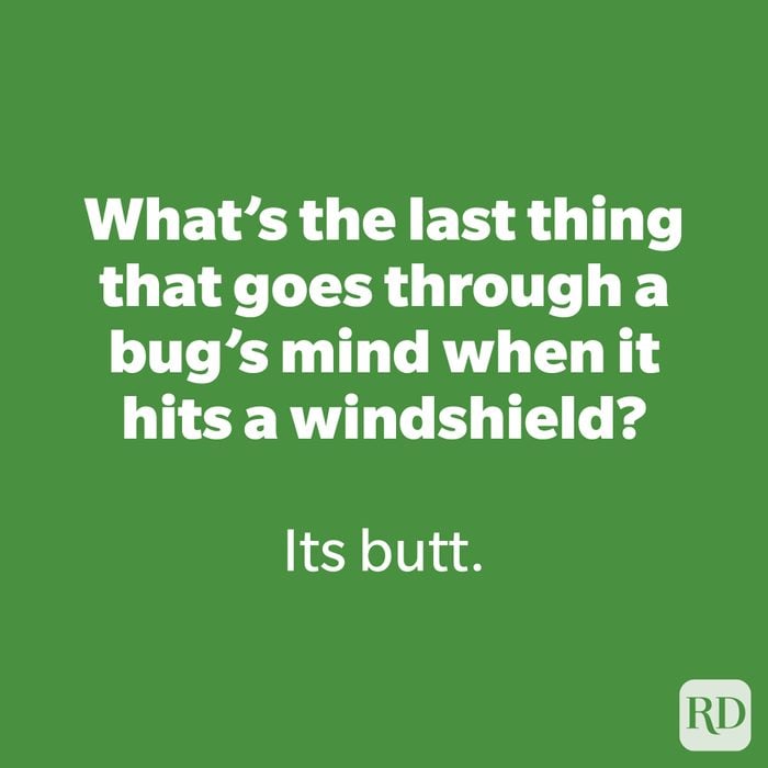 What’s the last thing that goes through a bug’s mind when it hits a windshield?