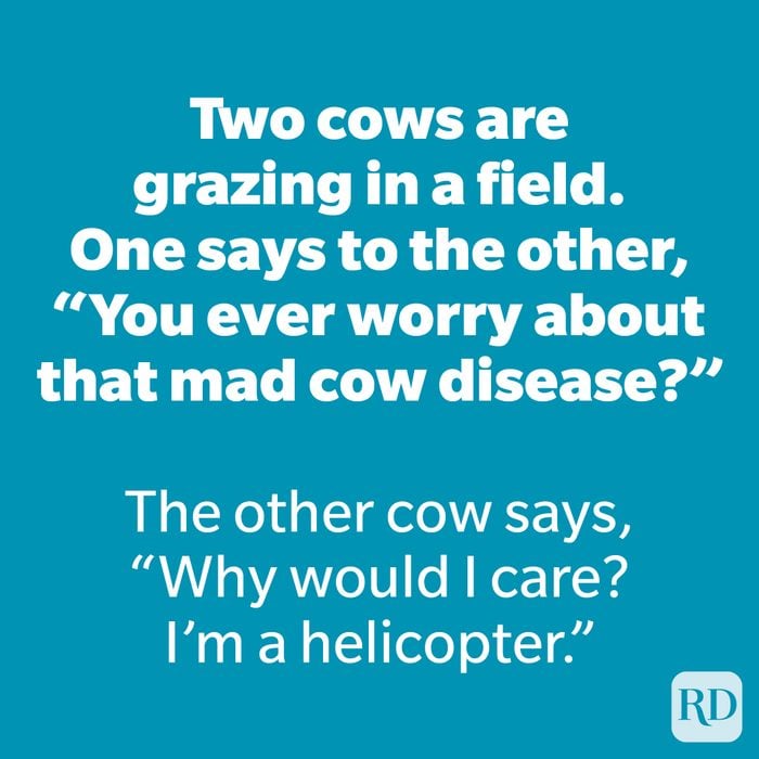 Two cows are grazing in a field. One says to the other, “You ever worry about that mad cow disease?”