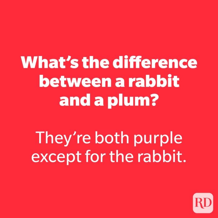 What's the difference between a rabbit and a plum? 14