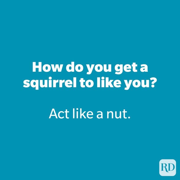 How do you get a squirrel to like you?