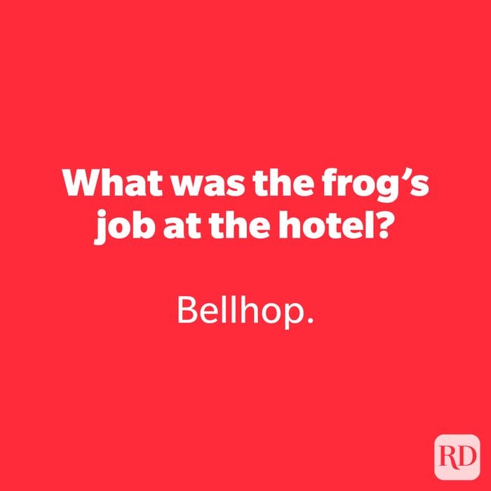 What was the frog’s job at the hotel?