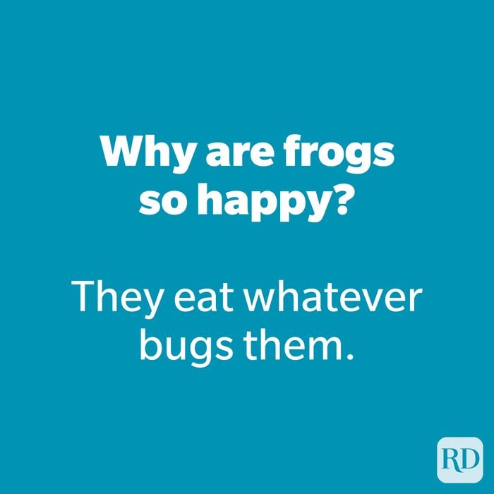 Why are frogs so happy?