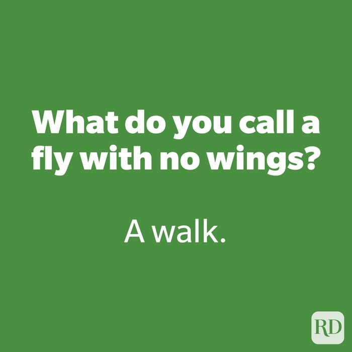 What do you call a fly with no wings?