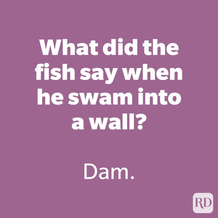 What did the fish say when he swam into a wall?