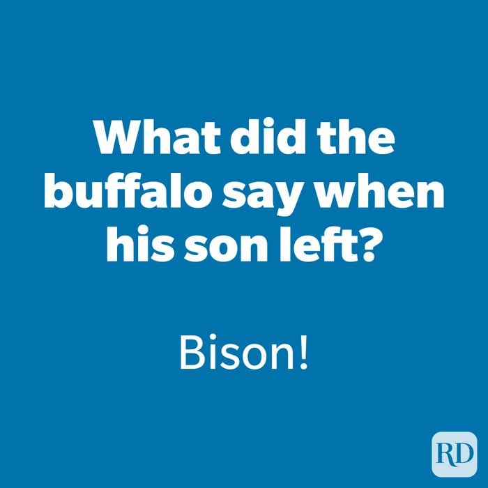 What did the buffalo say when his son left?
