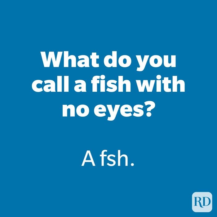 What do you call a fish with no eyes?