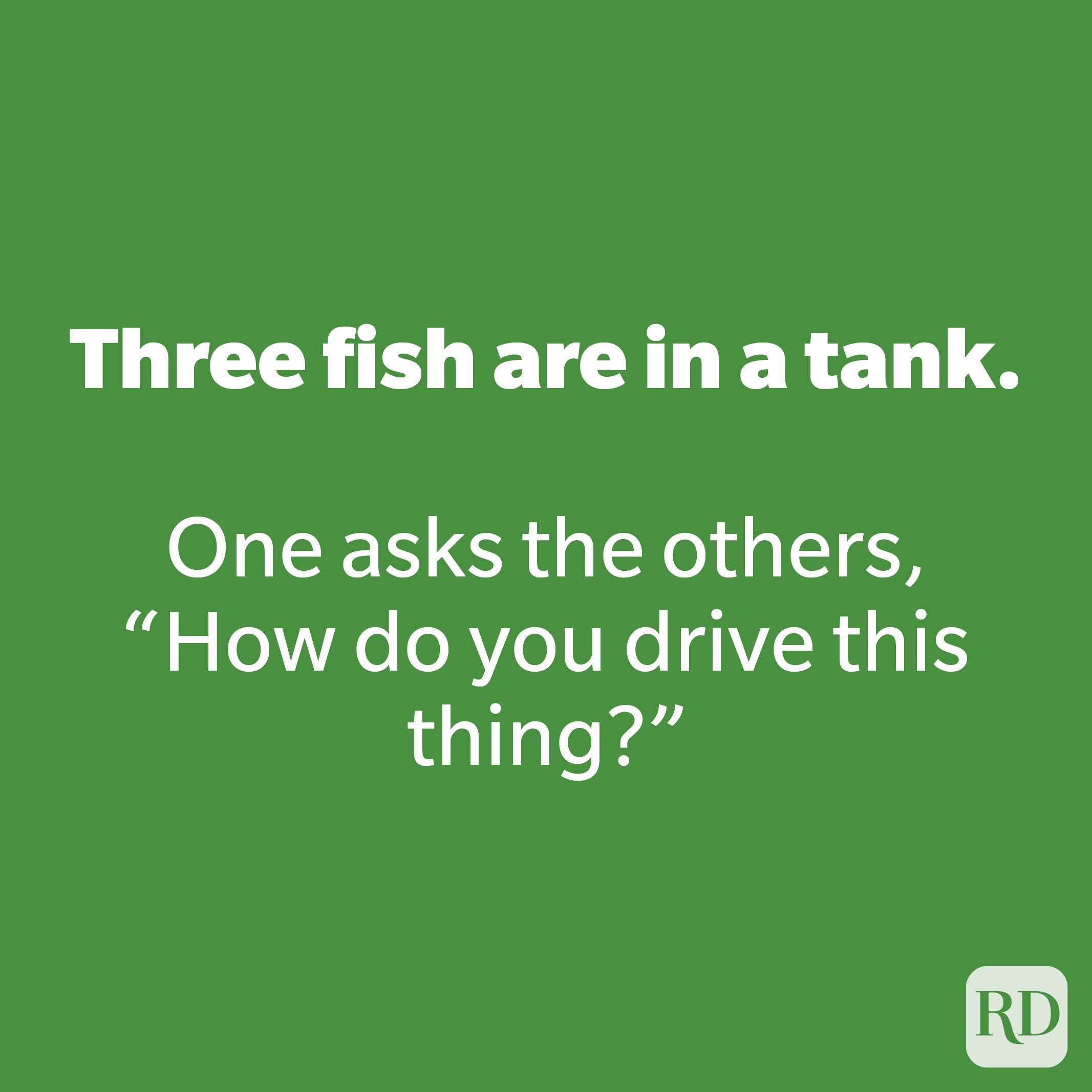 Three fish are in a tank.