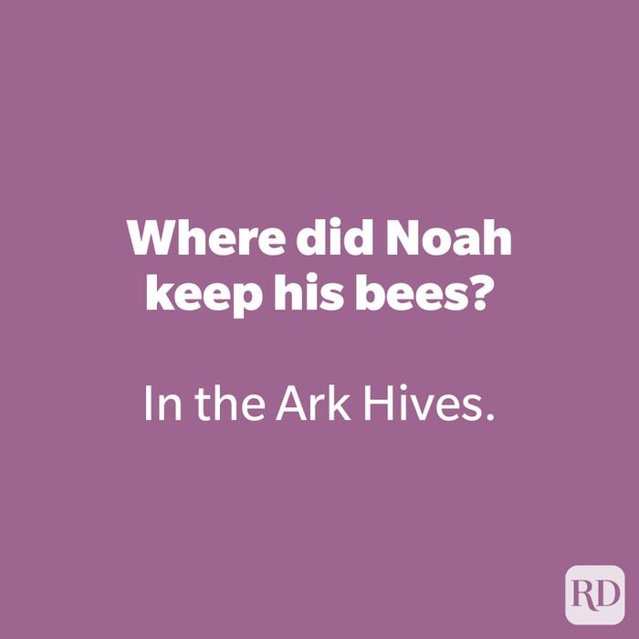 Where did Noah keep his bees? 