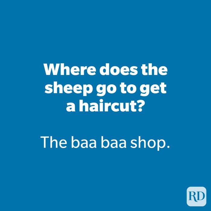 Where does the sheep go to get a haircut?