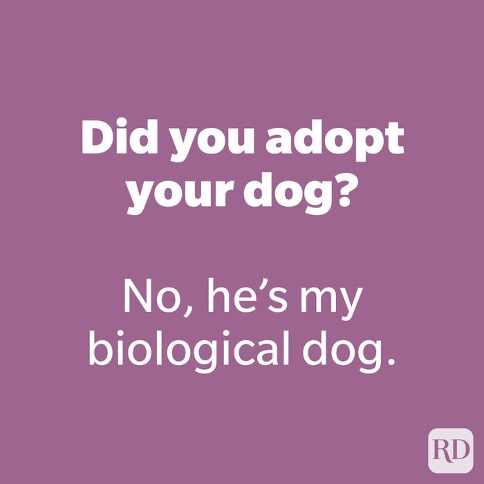 Did you adopt your dog? 