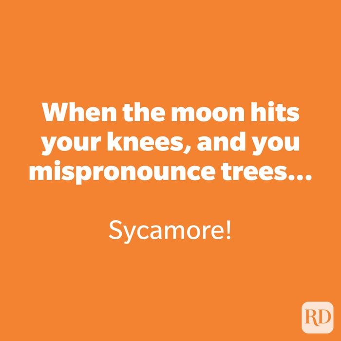 When the moon hits your knees, and you mispronounce trees 